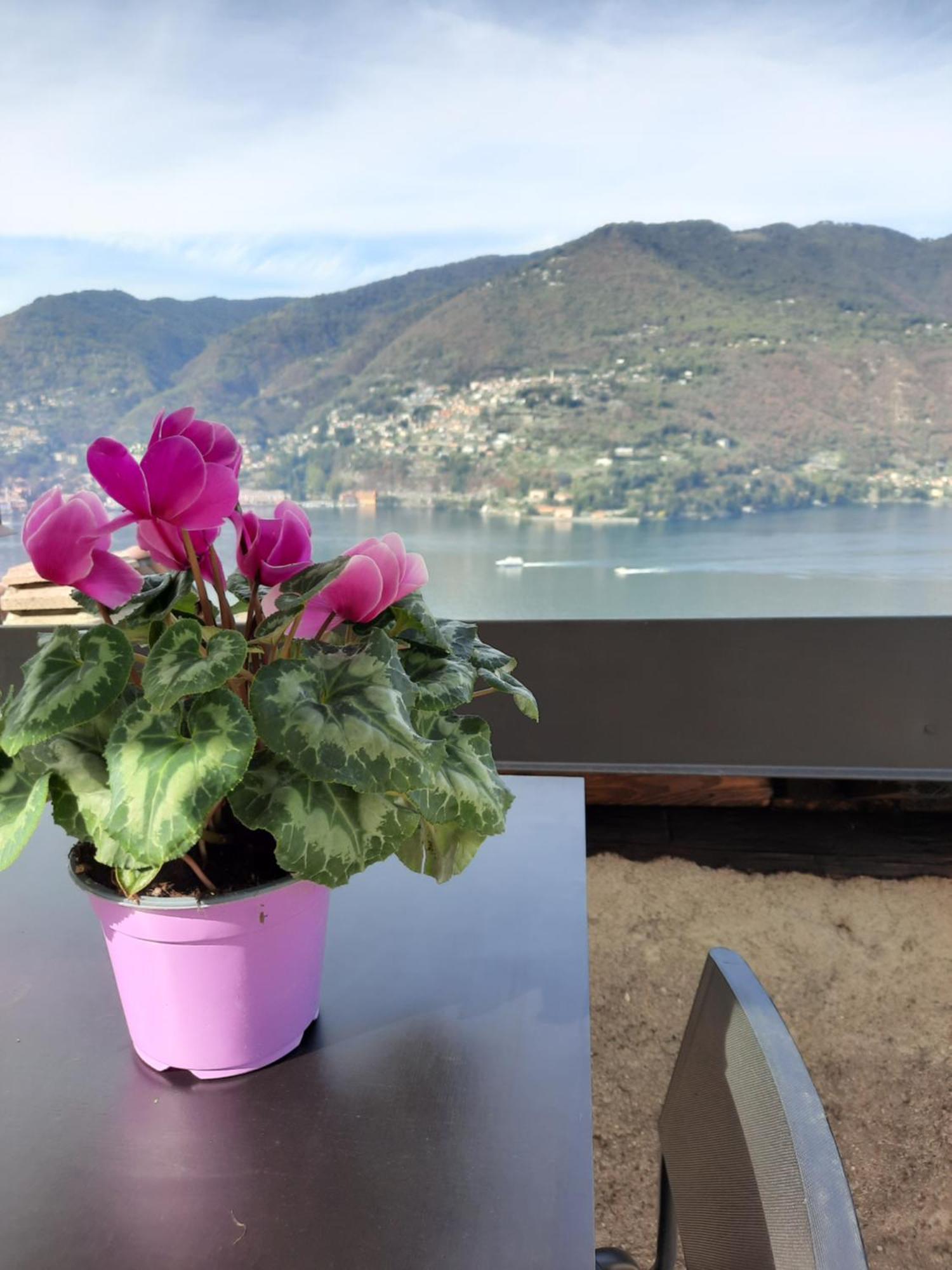 בלביו Luxury Room La Terrazza Sul Lago Di Como מראה חיצוני תמונה